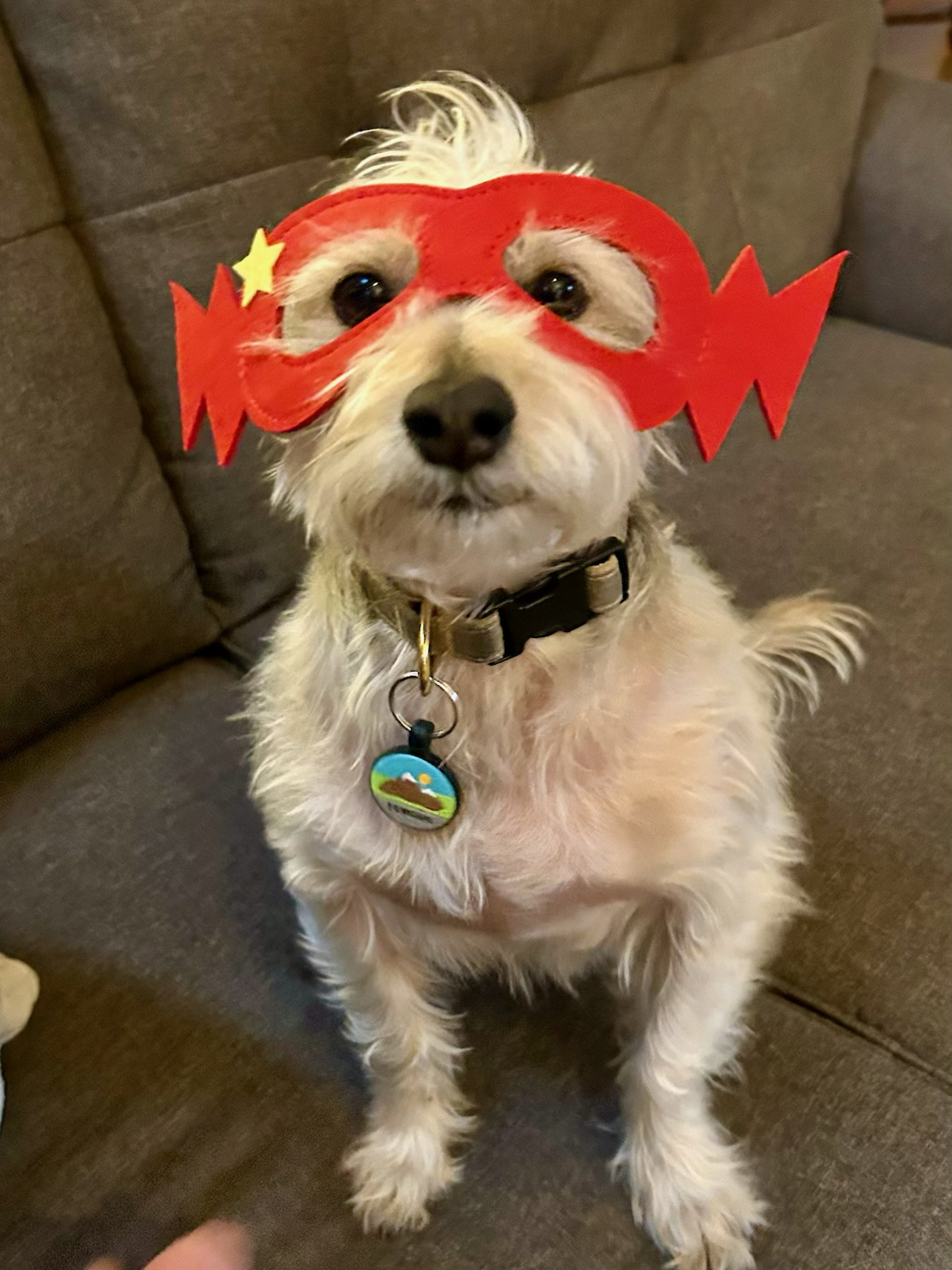 Fergus