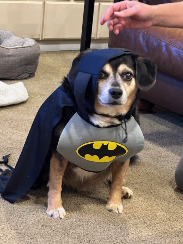Rooney- UW SuperHero contest