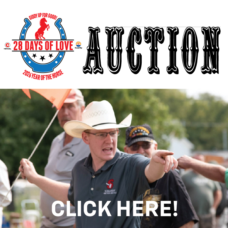 auction button