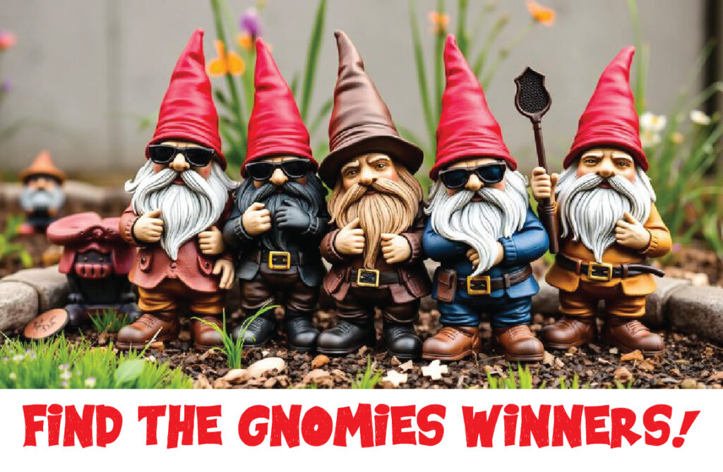 GNOME WINNERS